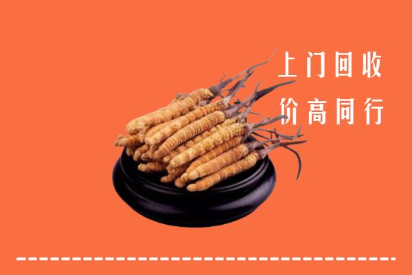 高价求购：盘锦市回收散虫草
