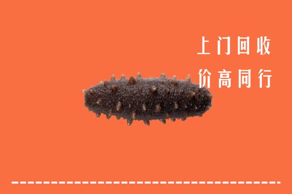 高价求购：盘锦市回收海参