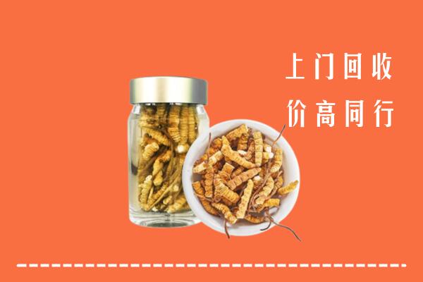 盘锦市回收冬虫夏草