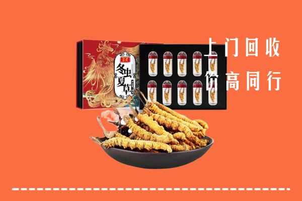 盘锦市回收虫草